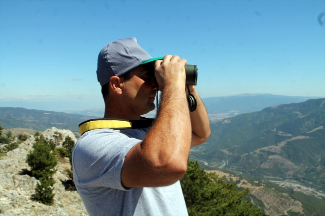 Ormanların koruyucu ekibi: Alev Avcıları